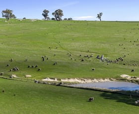 Rural / Farming commercial property for sale at 157 Bradford Hills Road Baringhup VIC 3463