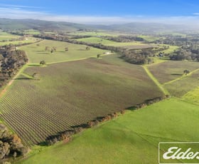 Rural / Farming commercial property for sale at 200 Braeside Road Finniss SA 5255
