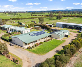 Rural / Farming commercial property for sale at 2301 Traralgon Maffra Road Cowwarr VIC 3857