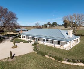 Rural / Farming commercial property for sale at 37 Beaumah Road Orange NSW 2800