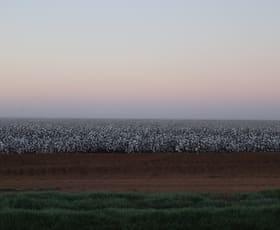 Rural / Farming commercial property for sale at 10755 Sturt Highway Euroley NSW 2700