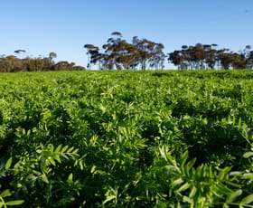 Rural / Farming commercial property for sale at O'Brien Road Ultima VIC 3544