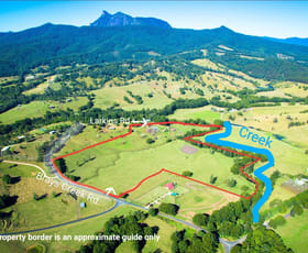 Rural / Farming commercial property for sale at 30 Larkins Road Tyalgum NSW 2484