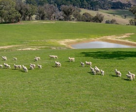 Rural / Farming commercial property for sale at 1185 Golspie Road Golspie NSW 2580