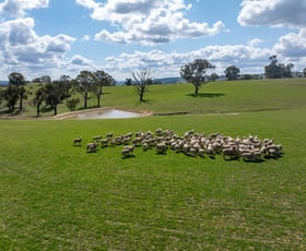 Rural / Farming commercial property for sale at 1185 Golspie Road Golspie NSW 2580