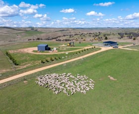 Rural / Farming commercial property for sale at 1185 Golspie Road Golspie NSW 2580