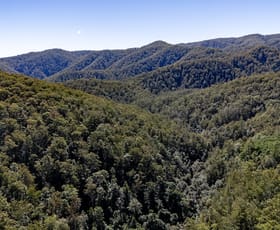 Rural / Farming commercial property for sale at 3542 Nowendoc Road Caffreys Flat NSW 2424