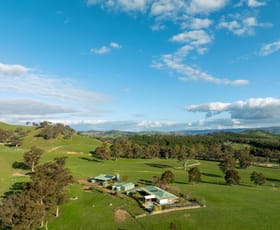 Rural / Farming commercial property for sale at 6350 Maroondah Highway Yarck VIC 3719