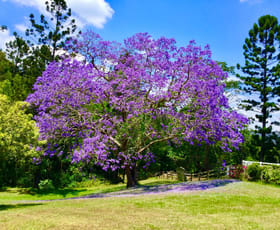 Rural / Farming commercial property for sale at 36 Pinetree Court Mudgeeraba QLD 4213
