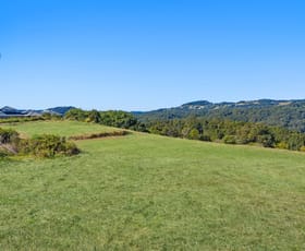Rural / Farming commercial property for sale at Currumbin Valley QLD 4223