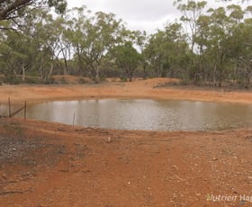 Rural / Farming commercial property for sale at * YARRANVALE Nymagee NSW 2831