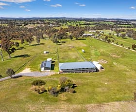 Rural / Farming commercial property for sale at 442 Wargeila Road Yass NSW 2582