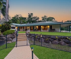 Rural / Farming commercial property for sale at 46 Gallet Road Little Mulgrave QLD 4865