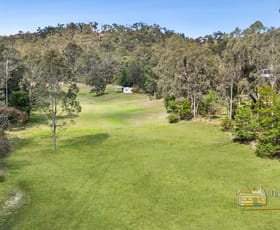 Rural / Farming commercial property for sale at 239 River Road Lower Portland NSW 2756