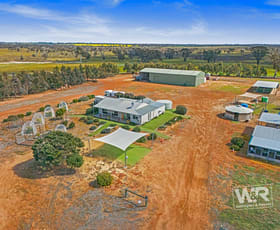 Rural / Farming commercial property for sale at 261 Hale Road Beaufort River WA 6394