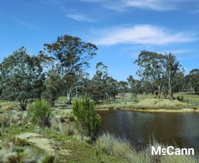 Rural / Farming commercial property for sale at 2326 Rye Park Road (Broadway) Gunning NSW 2581
