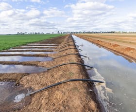 Rural / Farming commercial property for sale at Glenn Road Coleambally NSW 2707