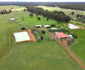 Rural / Farming commercial property for sale at 333 Camballan Road Wilga WA 6243