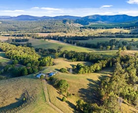 Rural / Farming commercial property for sale at 141 Sterling Rd Kandanga Creek QLD 4570