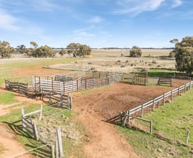 Rural / Farming commercial property for sale at Roslynmead Road Torrumbarry VIC 3562