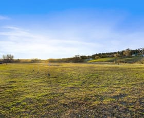 Rural / Farming commercial property for sale at 17 Marked Tree Road Gundaroo NSW 2620