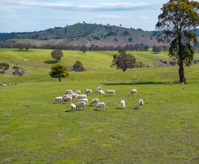 Rural / Farming commercial property for sale at 858 Sylvia Vale Road Binda NSW 2583