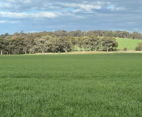 Rural / Farming commercial property for sale at 'Blossom Farm' Klemkes Road Henty NSW 2658