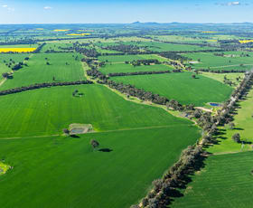 Rural / Farming commercial property for sale at 'Blossom Farm' Klemkes Road Henty NSW 2658