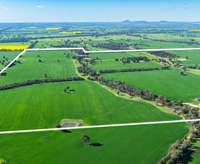 Rural / Farming commercial property for sale at 'Blossom Farm' Klemkes Road Henty NSW 2658