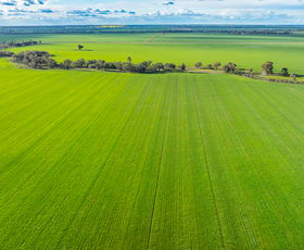 Rural / Farming commercial property for sale at 1250 Barracluffs Road Bidgeemia NSW 2642