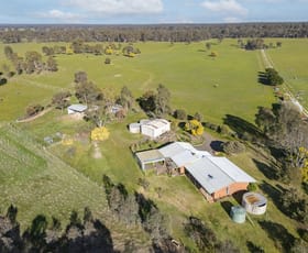 Rural / Farming commercial property for sale at 474 Carisbrook - Eddington Road Carisbrook VIC 3464