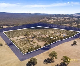 Rural / Farming commercial property for sale at 3450 Sunraysia Hwy Stuart Mill VIC 3477