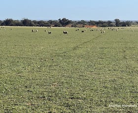 Rural / Farming commercial property for sale at 2159 Mouroubra Road Beacon WA 6472