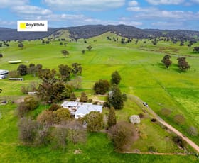 Rural / Farming commercial property for sale at 1701 Adelong Road Gundagai NSW 2722