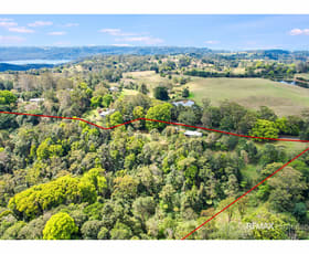 Rural / Farming commercial property for sale at 203 North Maleny Road North Maleny QLD 4552