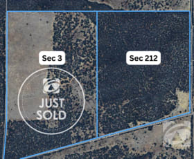 Rural / Farming commercial property for sale at Sec 212 Stott Highway Sedan SA 5353