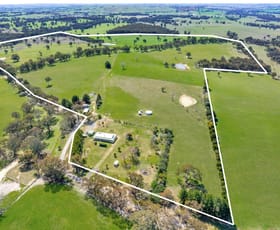 Rural / Farming commercial property for sale at 200 Yangoora Road Garland NSW 2797