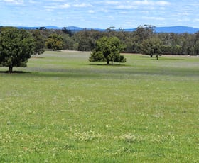 Rural / Farming commercial property for sale at 120 Melrose Plains Road Fifield NSW 2875