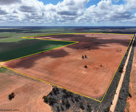 Rural / Farming commercial property for sale at Lot 1 Macs Road Merrinee VIC 3496