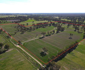 Rural / Farming commercial property for sale at 0 View Street Koondrook VIC 3580