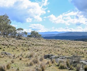 Rural / Farming commercial property for sale at "Hobbs Range" 40 Hobbs Lane Moonbah NSW 2627