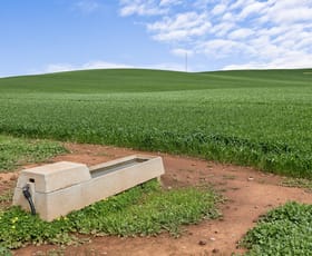 Rural / Farming commercial property for sale at 'Stone Hut' Halls Road Wirrabara SA 5481