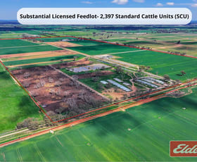 Rural / Farming commercial property for sale at 1350 Ryan Road Kyabram VIC 3620