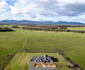 Rural / Farming commercial property for sale at 1298 Yellanup Road Narrikup WA 6326