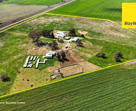 Rural / Farming commercial property for sale at 80 Wades Lane Inverell NSW 2360