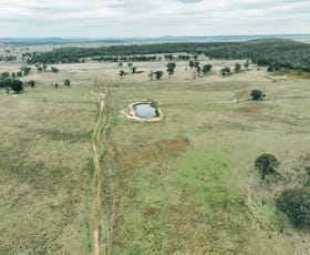 Rural / Farming commercial property for sale at 13999 Golden Hwy Dunedoo NSW 2844