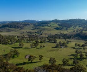 Rural / Farming commercial property for sale at 'Brucelyn & Mt Emby' 453 & 504 Moredun Road Ben Lomond NSW 2365