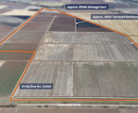 Rural / Farming commercial property for sale at Farm 2526/408 Cashmere Road Widgelli NSW 2680