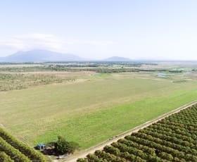 Rural / Farming commercial property for sale at 3 Comiskey Road Horseshoe Lagoon QLD 4809