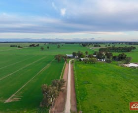 Rural / Farming commercial property for sale at 821 Echuca West School Road Echuca VIC 3564
